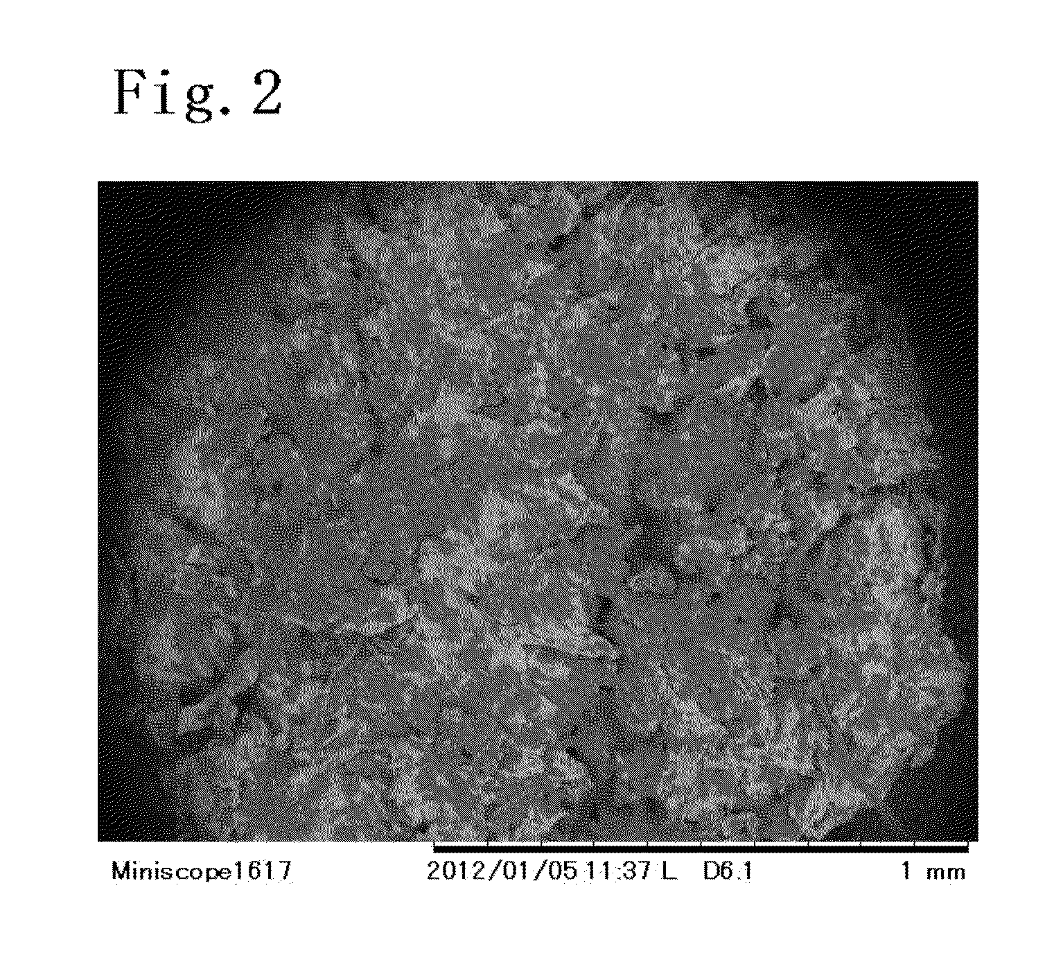 Polymer adsorbent