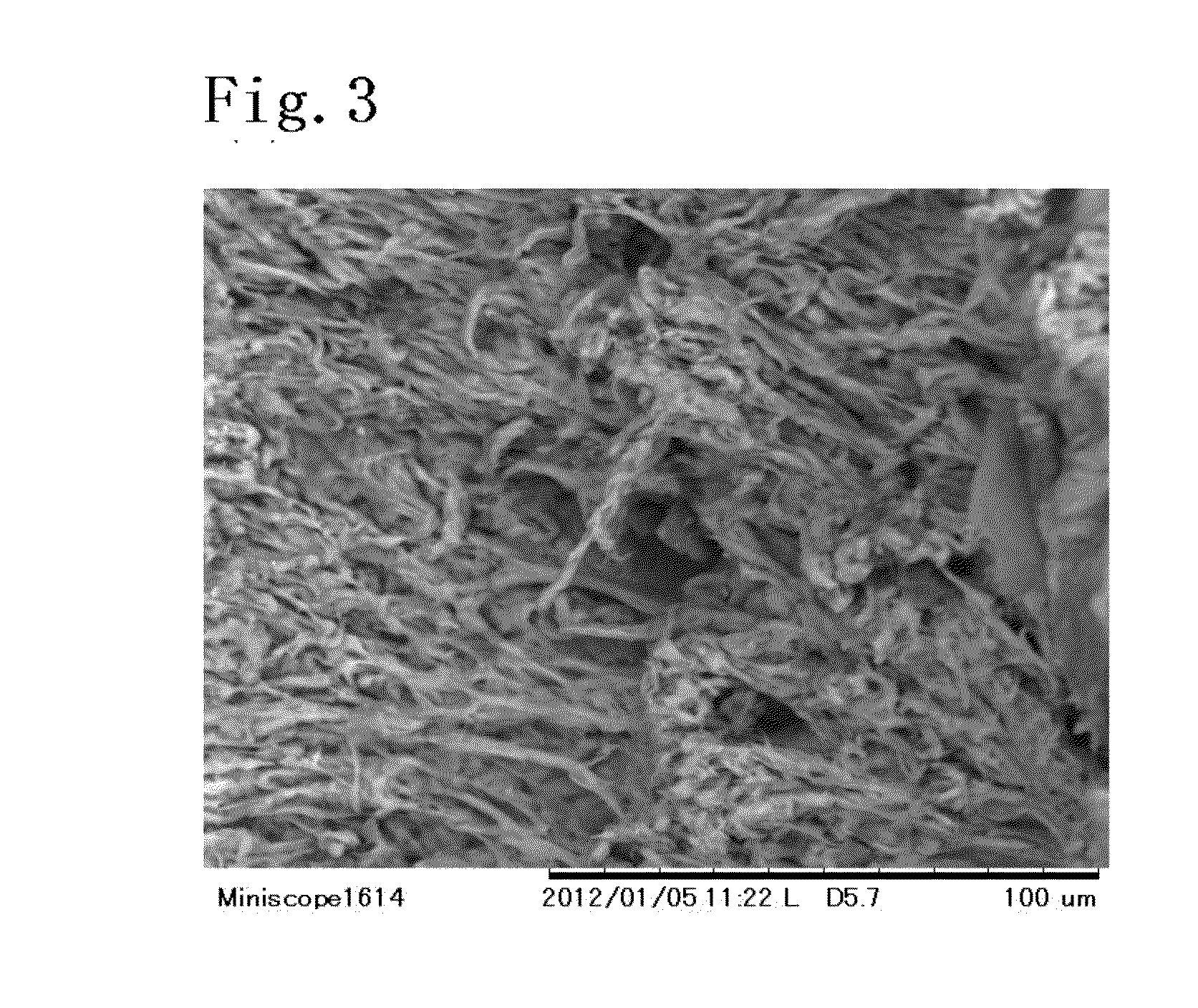 Polymer adsorbent