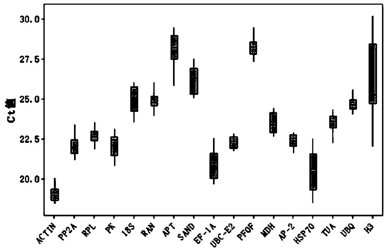 Fluorescent quantitative internal reference genes and their primers and applications under salt stress in Changshan, Haizhou