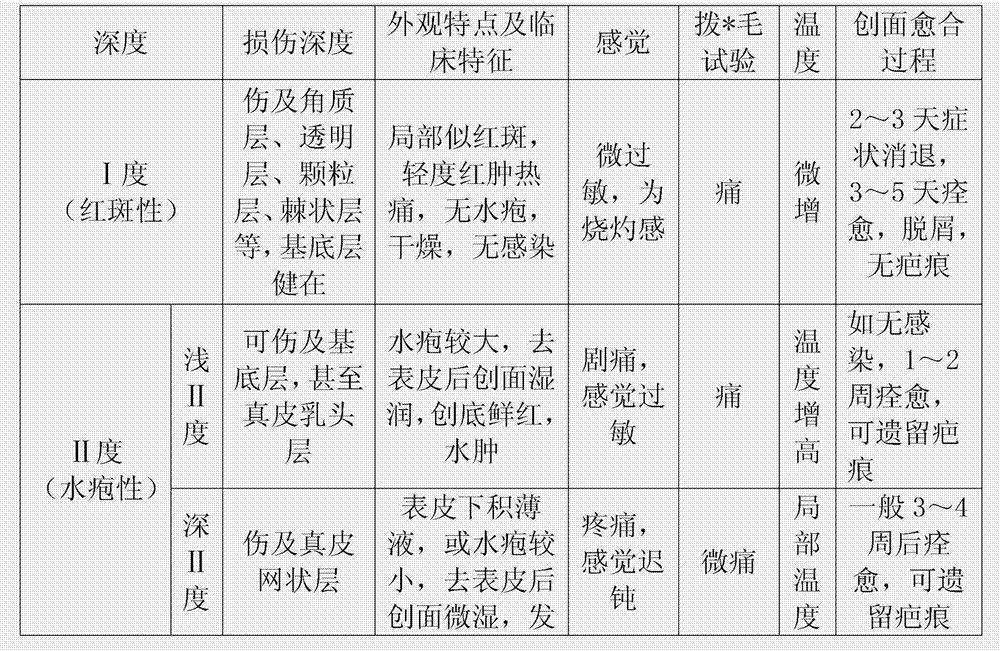 Externally-used medicine for recovering burned cortical tissue and preparation method thereof