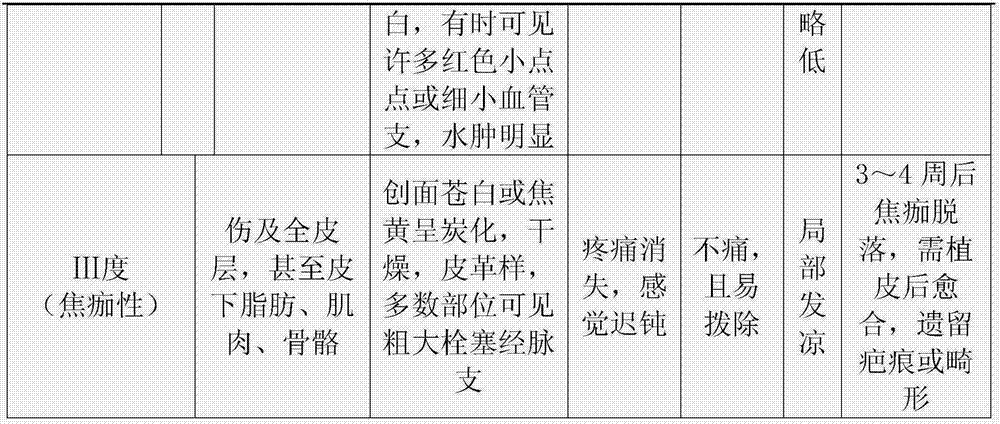 Externally-used medicine for recovering burned cortical tissue and preparation method thereof