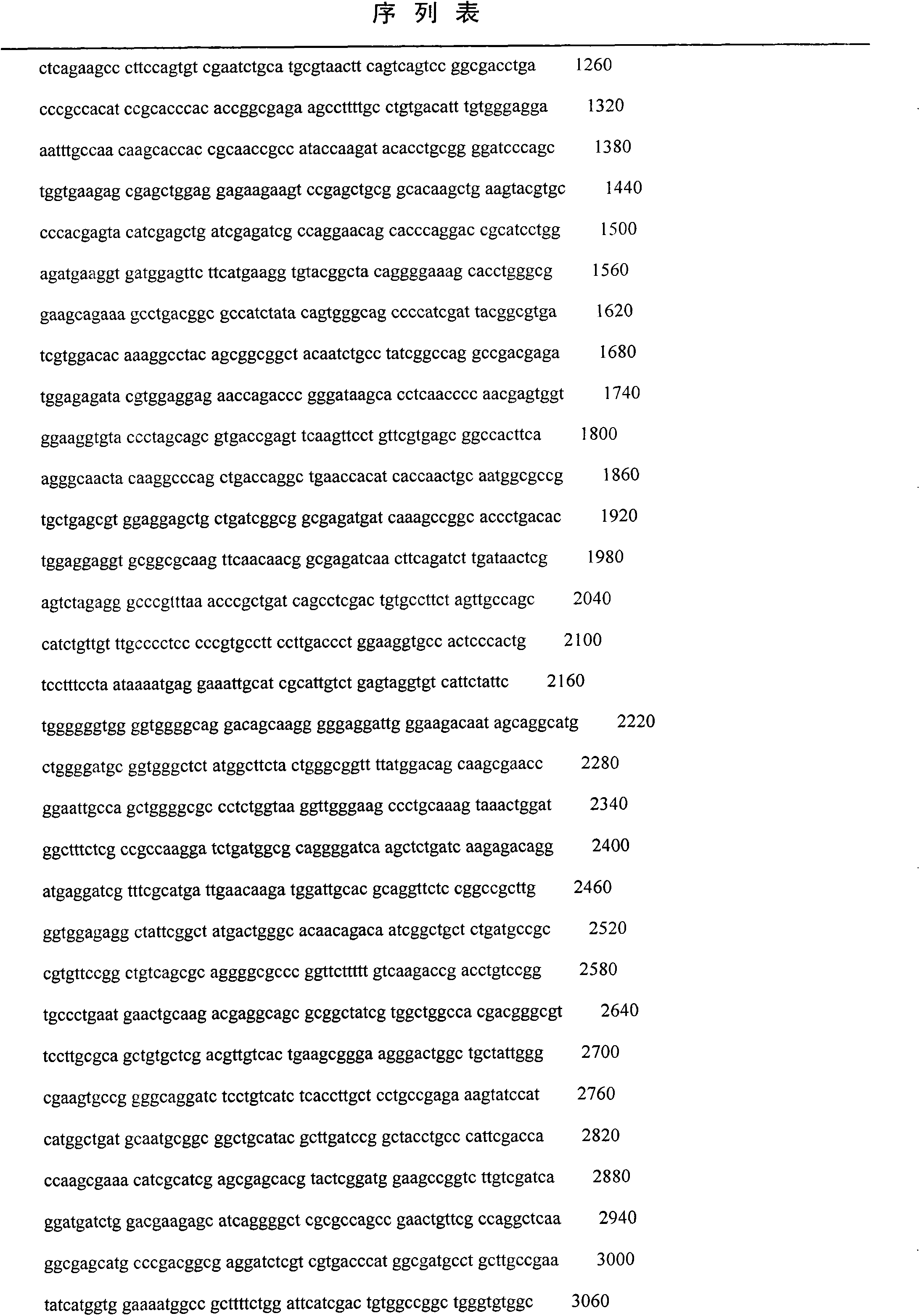 Method for deleting sheep Myostatin gene locus by zinc finger nuclease