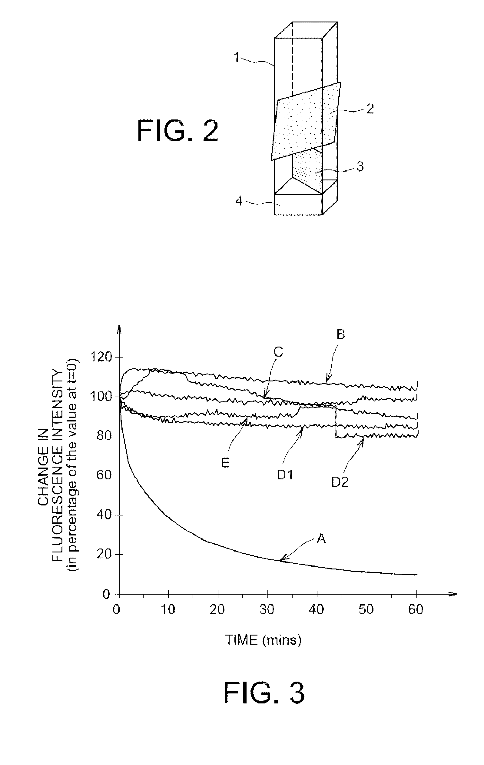 Fluorescent polymers of 7-hydroxycoumarin compounds, chemical sensors comprising them, and polymerizable fluorescent compound of 7-hydroxycoumarin