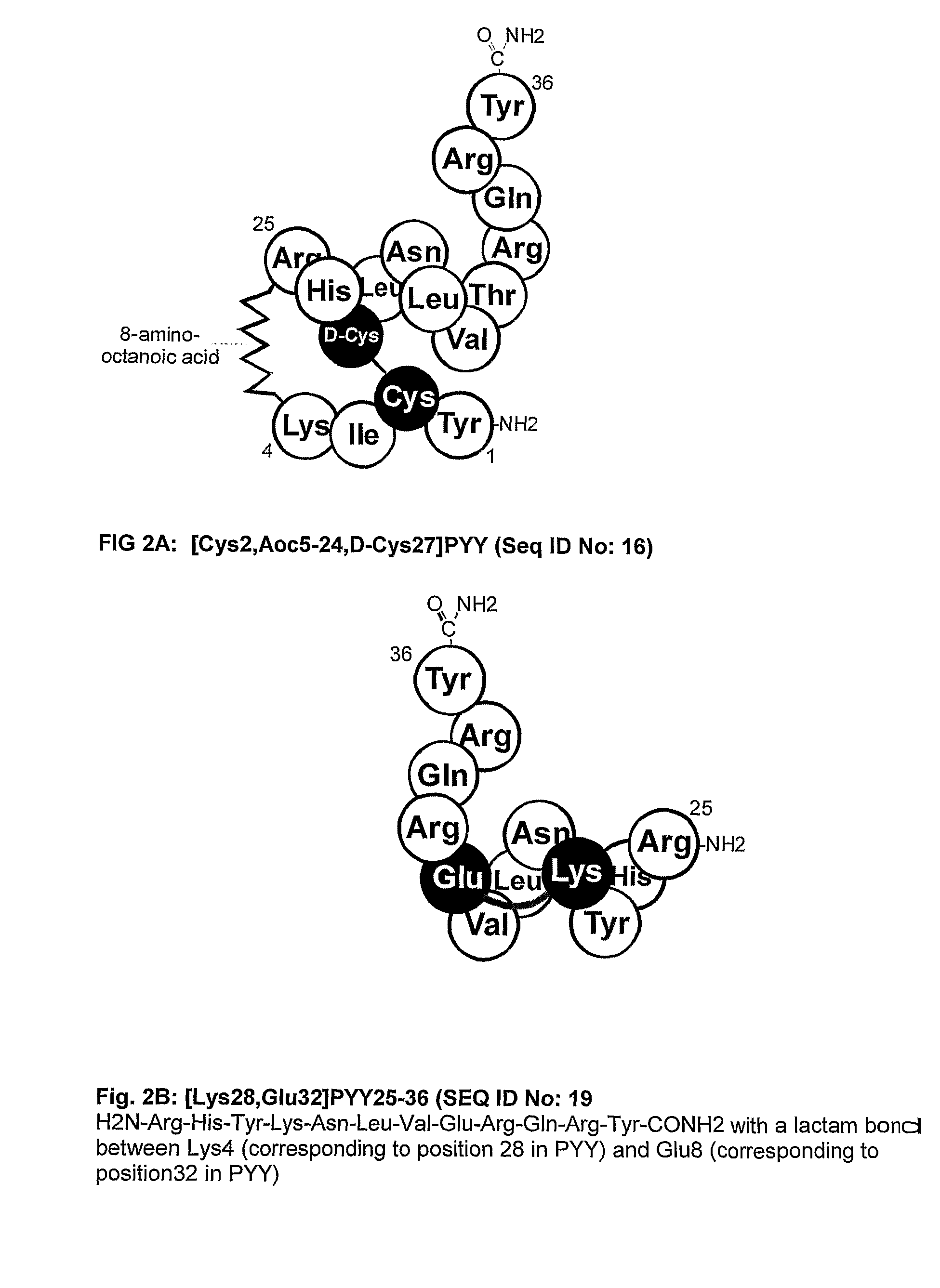 Y2 Selective Receptor Agonists for Therapeutic Interventions