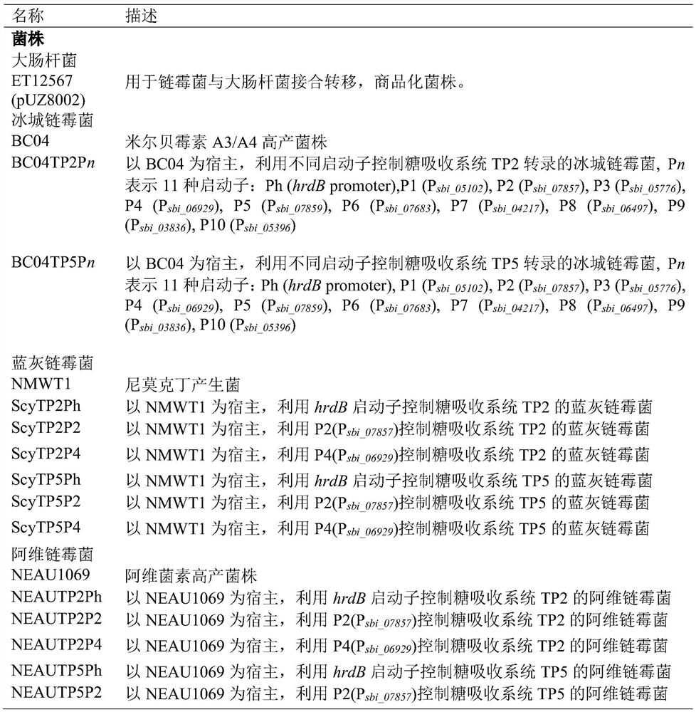 Carbon source absorption expression system, recombinant bacteria and application