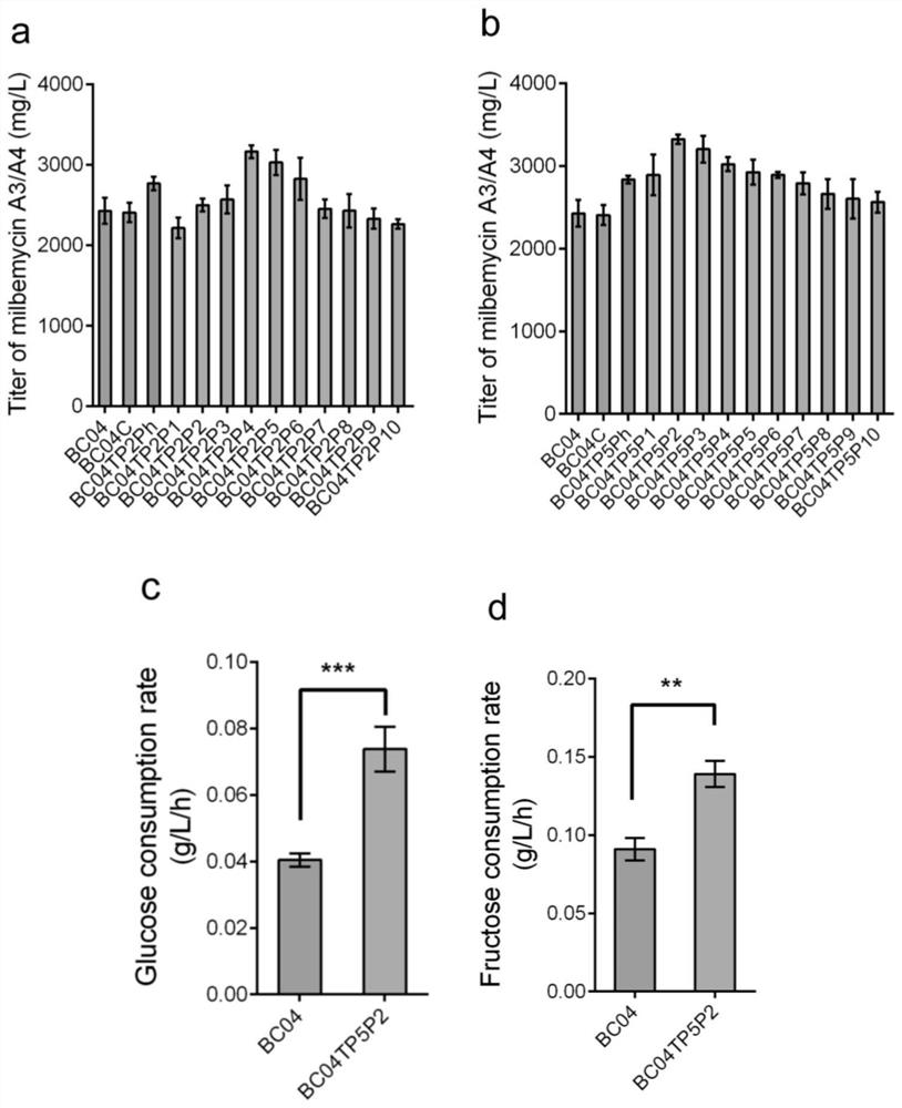 Carbon source absorption expression system, recombinant bacteria and application