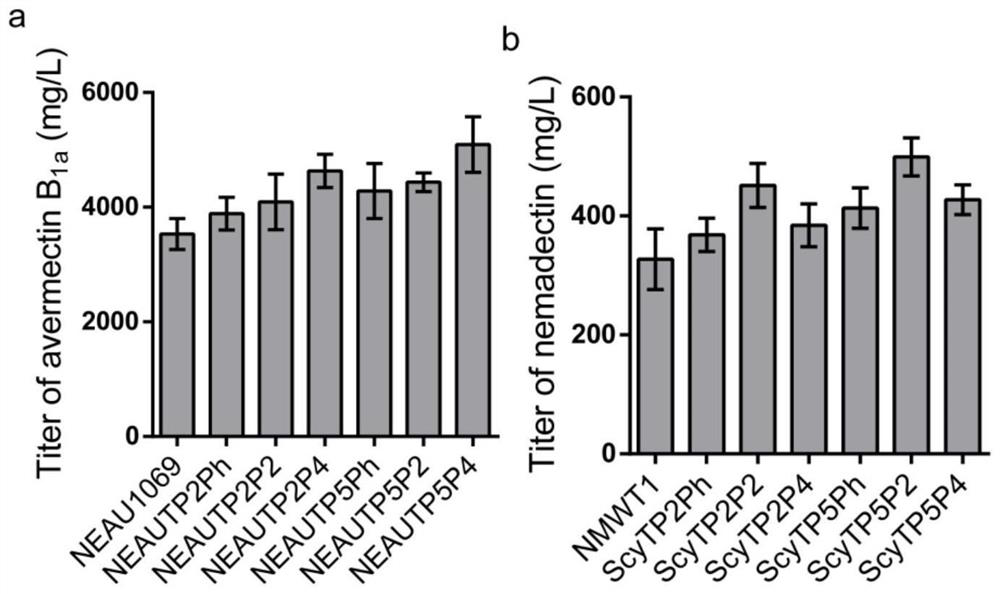 Carbon source absorption expression system, recombinant bacteria and application