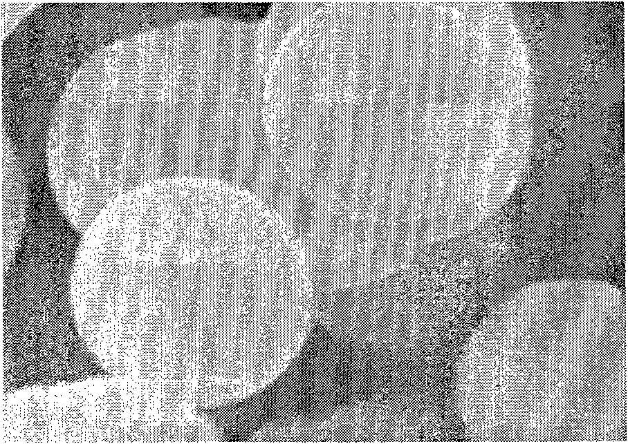 Method for preparing MoS2 microspheres by solvent hot method