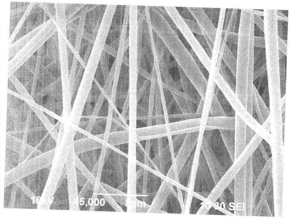 Lithium ion battery film in situ preparation method, lithium ion battery film, and lithium ion battery