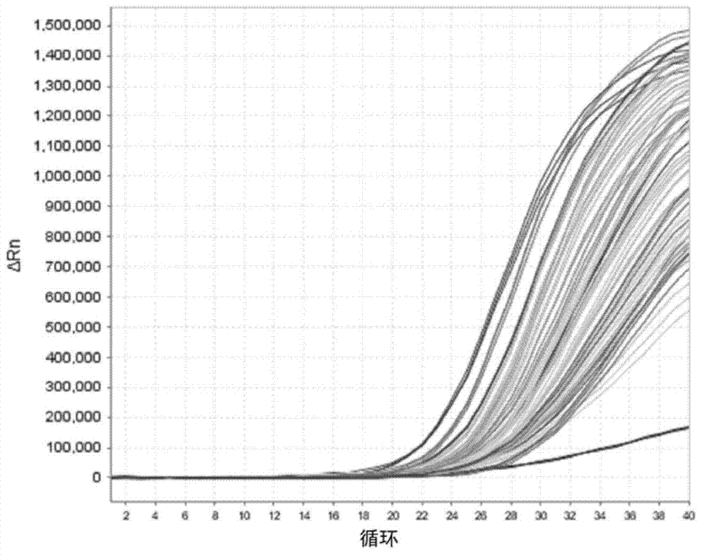 miRNA marker relative to esophagus cancer postoperative early relapse and prognosis and application