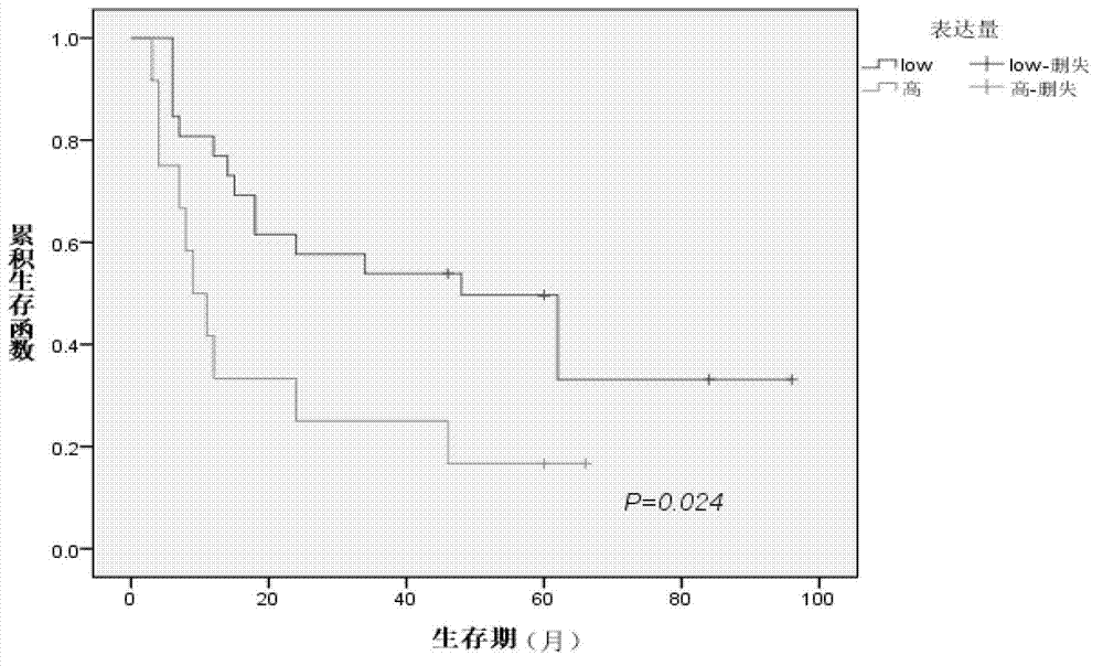 miRNA marker relative to esophagus cancer postoperative early relapse and prognosis and application