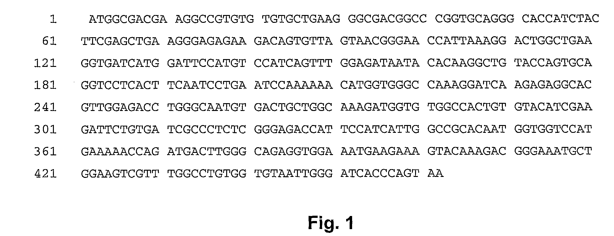 Transgenic pig model for a hereditary neurodegenerative autosomal dominant disease