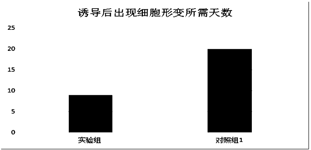 Culture medium of sweat gland cells and preparation method thereof