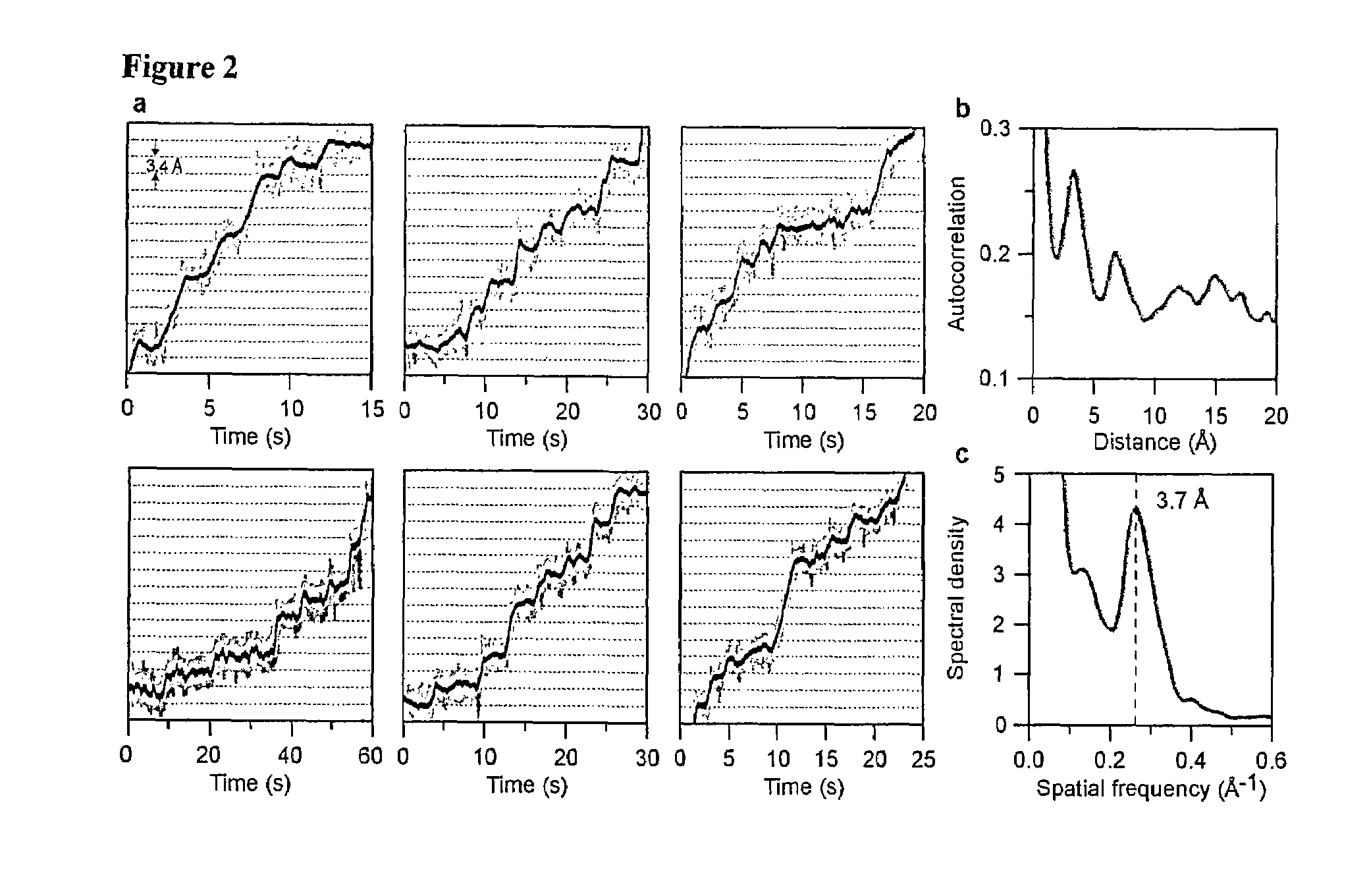 Motion resolved molecular sequencing