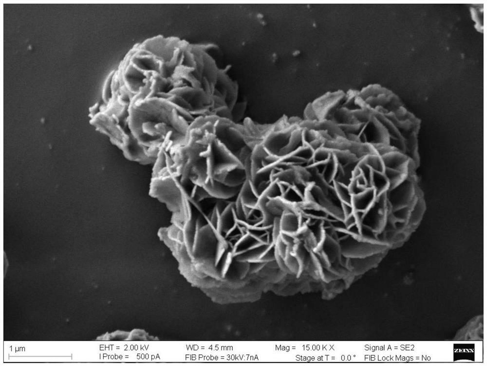 Preparation method and application of antibiotic solid-phase extraction material