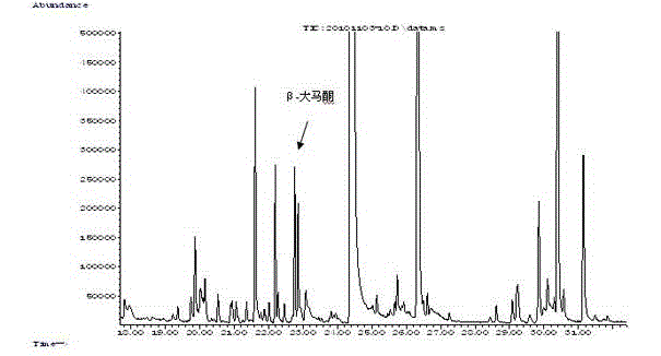 Strain produced by screening beta-damascenone in Chinese liquor brewing by utilizing flavor directional technology and application thereof