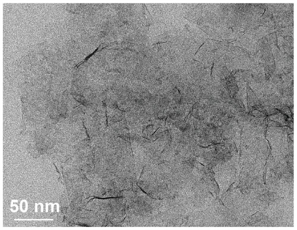 Monatomic metal-molybdenum sulfide nano-composite as well as preparation method and application thereof