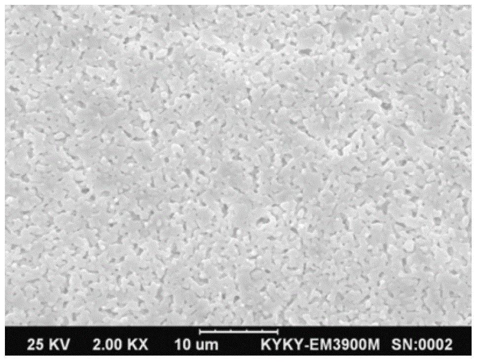 High-performance solid oxide electrolytic tank support