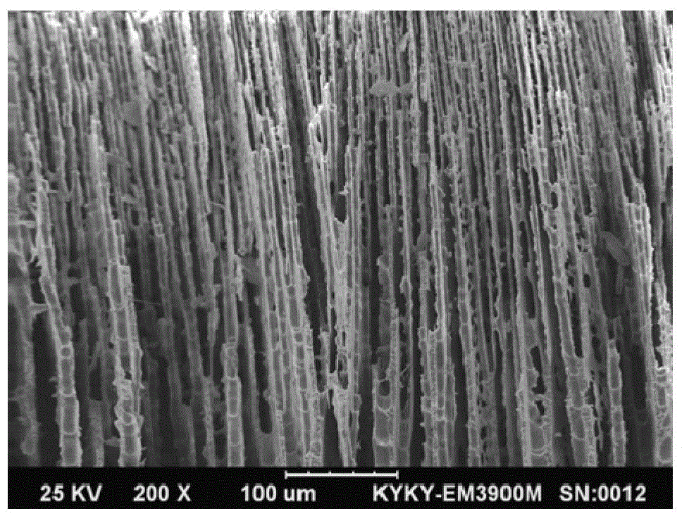 High-performance solid oxide electrolytic tank support