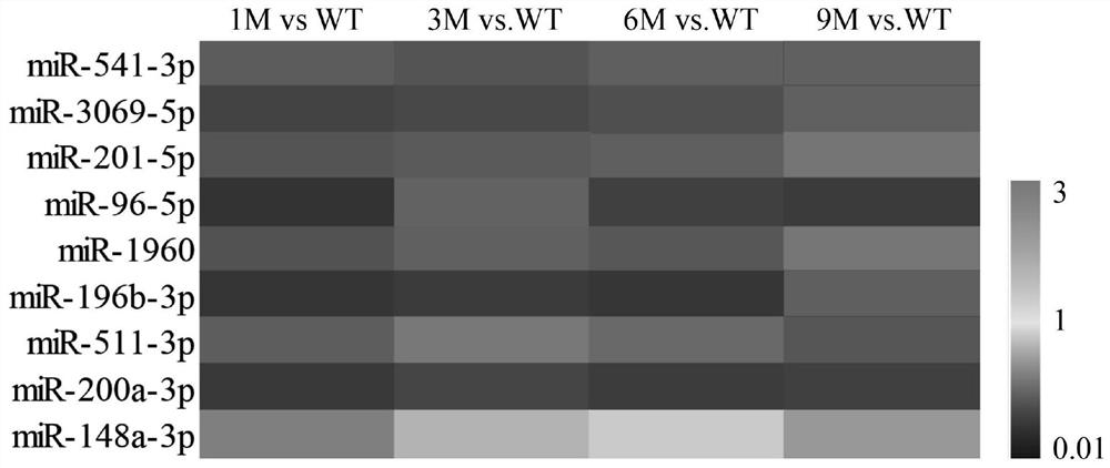 Application of miRNA 148 cluster as marker for diagnosis and/or treatment of cognitive disorder related diseases