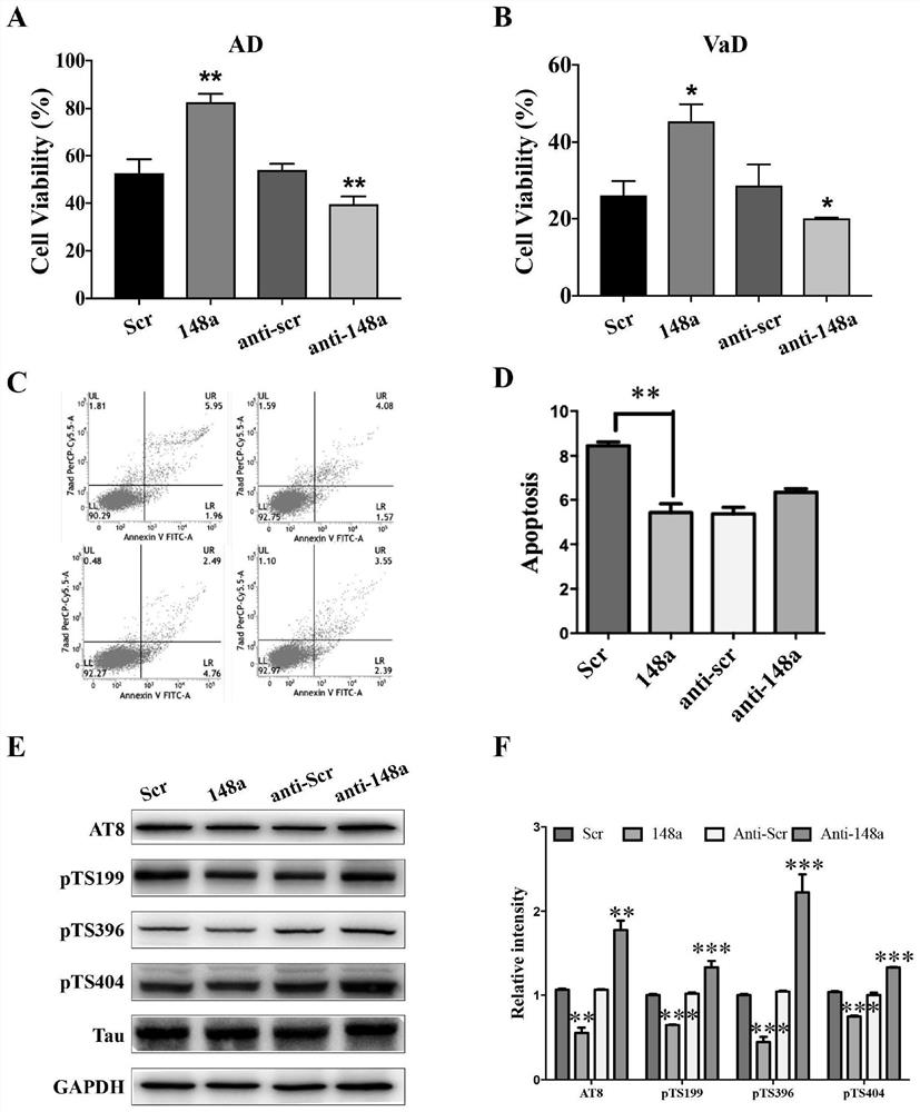 Application of miRNA 148 cluster as marker for diagnosis and/or treatment of cognitive disorder related diseases