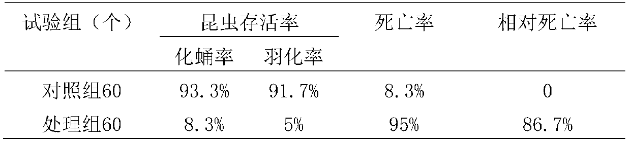 A kind of entomopathogenic nematode symbiotic bacterial strain and application thereof