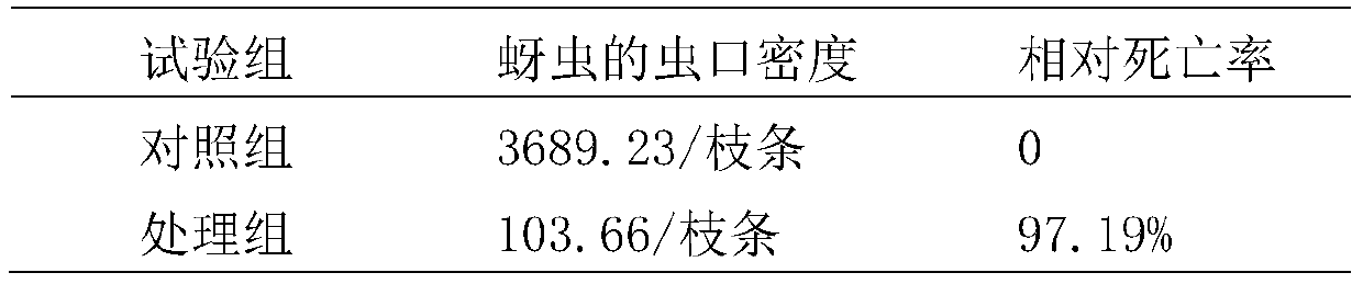 A kind of entomopathogenic nematode symbiotic bacterial strain and application thereof