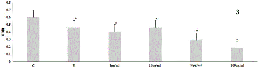 Application of steroids in preparing drugs for treating rheumatoid arthritis