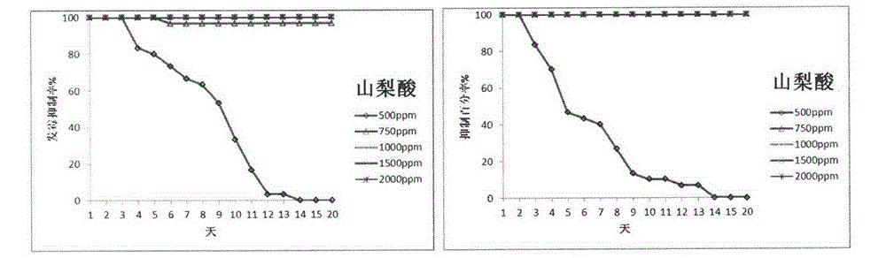 Artificial feed of rice leaf folder and preparation method of artificial feed