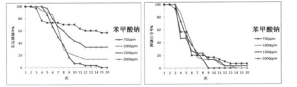 Artificial feed of rice leaf folder and preparation method of artificial feed