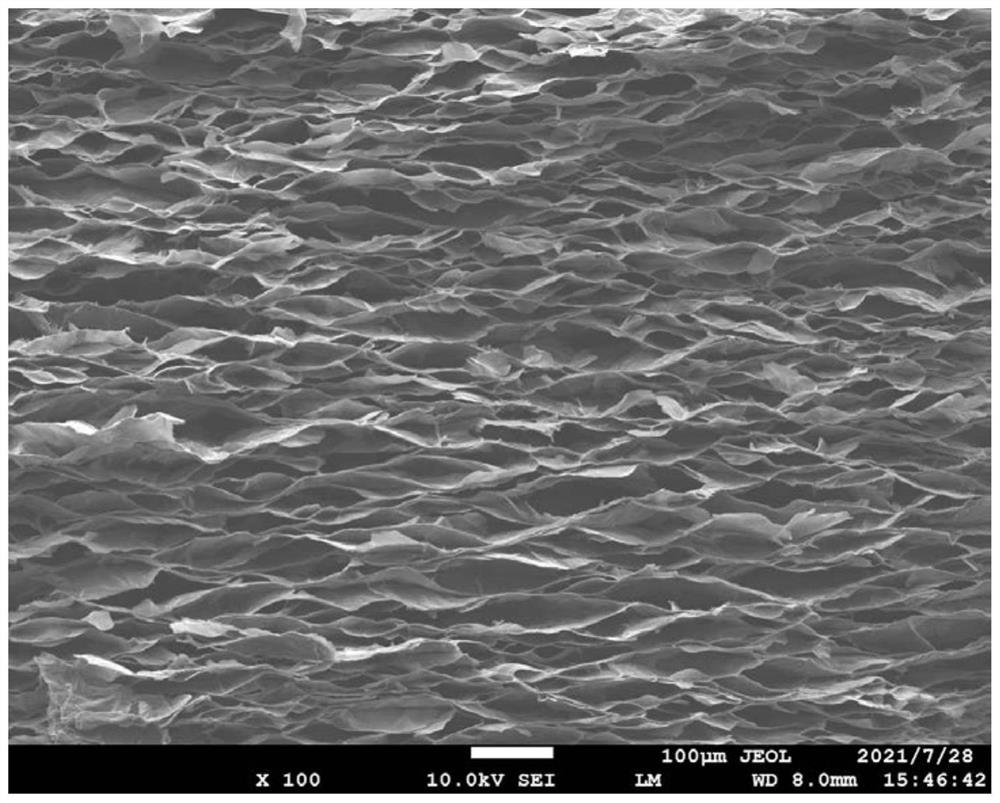 Multifunctional graphene foam and preparation method thereof