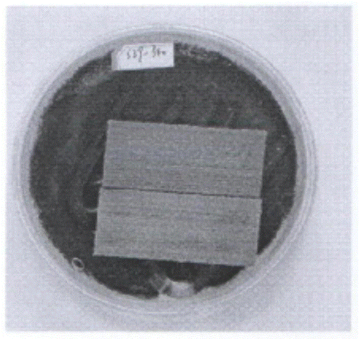 Biological enzyme wood and bamboo protective agent and its production and use method