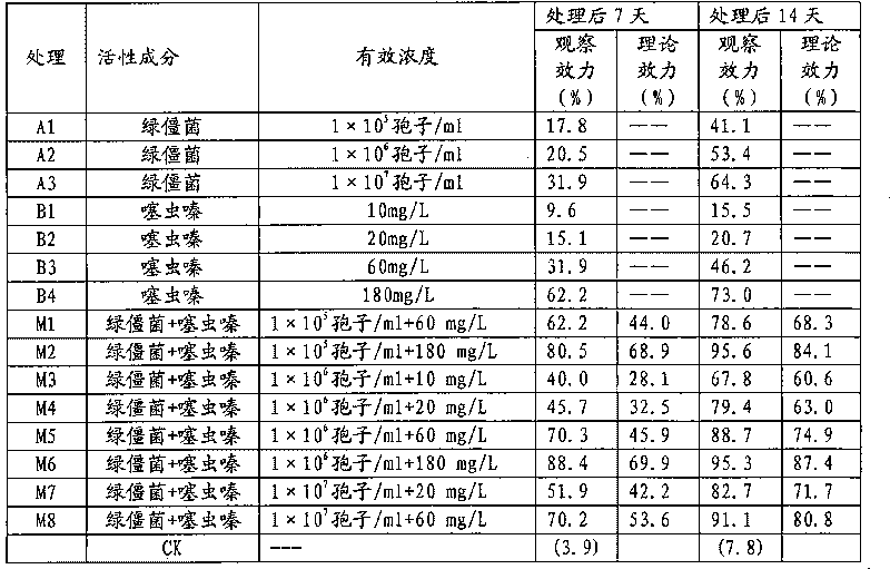 Metarhiziumanisopliae compound insecticide composition and use thereof