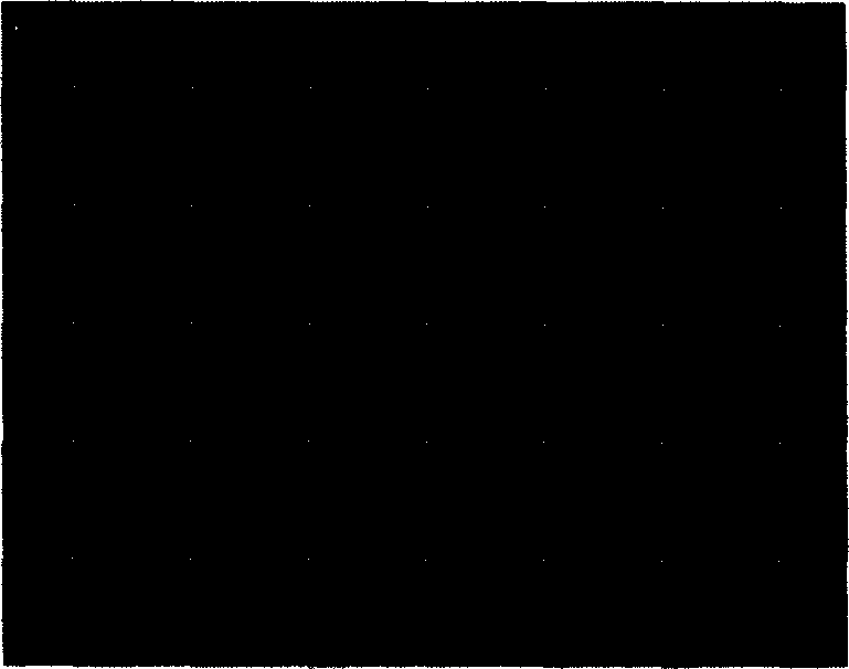 Usage of glanthidine, total alkali extract and preparation method and usage thereof