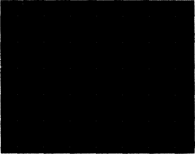 Usage of glanthidine, total alkali extract and preparation method and usage thereof