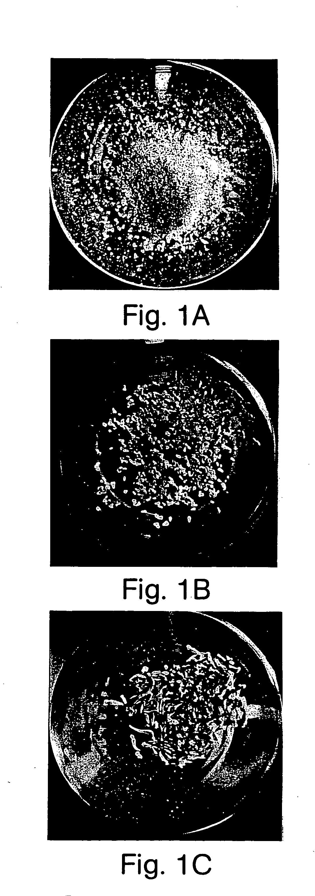 Regeneration system for grape and uses thereof