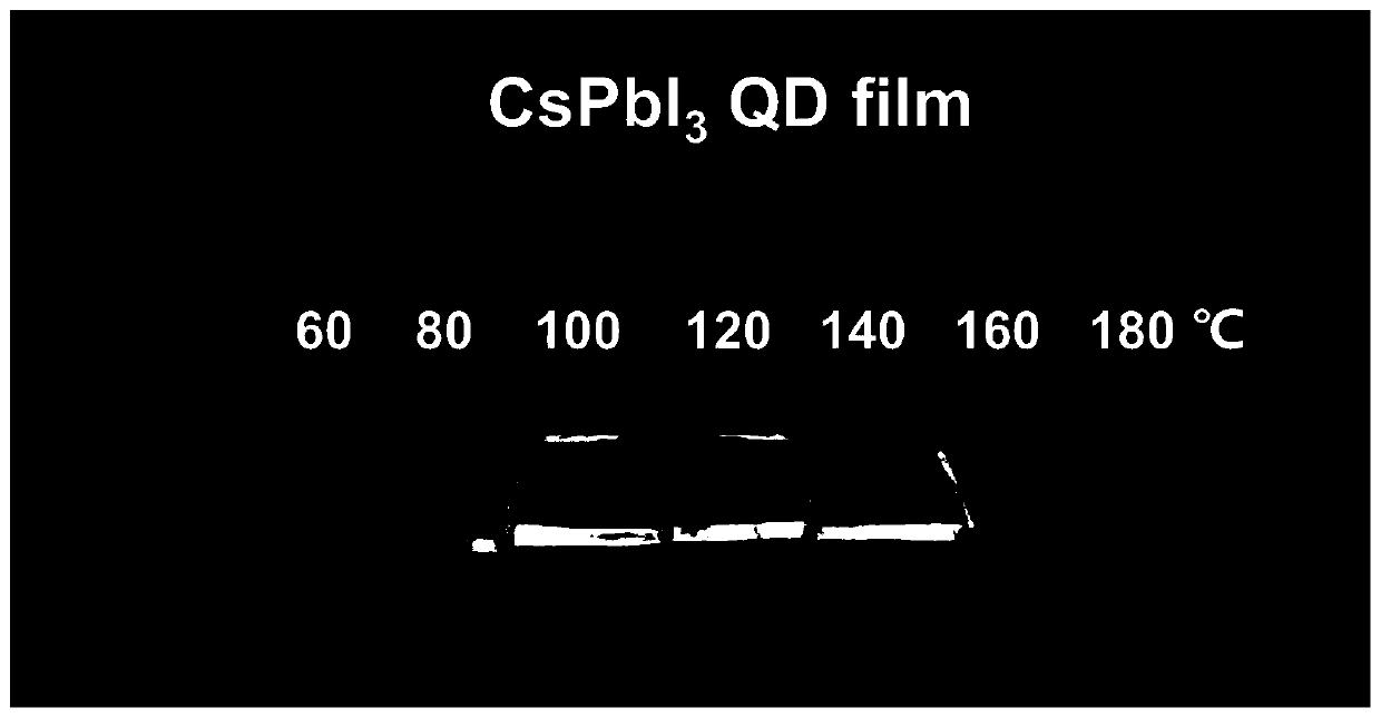 Method for preparing CsPbX3 perovskite quantum dot film through one-step crystallization