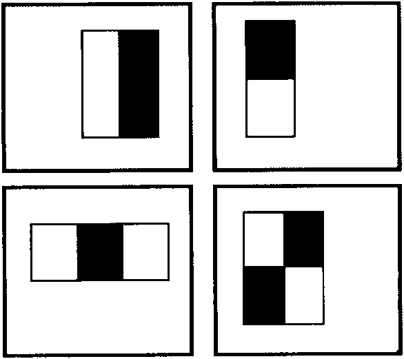 Front face human body automatic identity recognition method under long-distance video