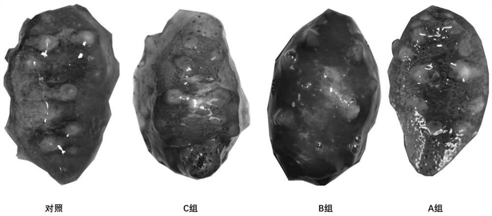 Composition for inhibiting skin decomposition of stichopus japonicus and application