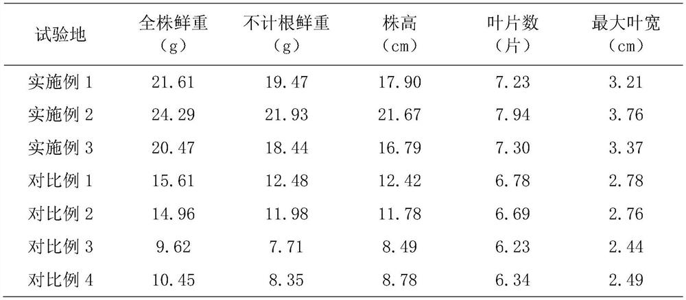 Green micro-ecological compound fertilizer and preparation method thereof