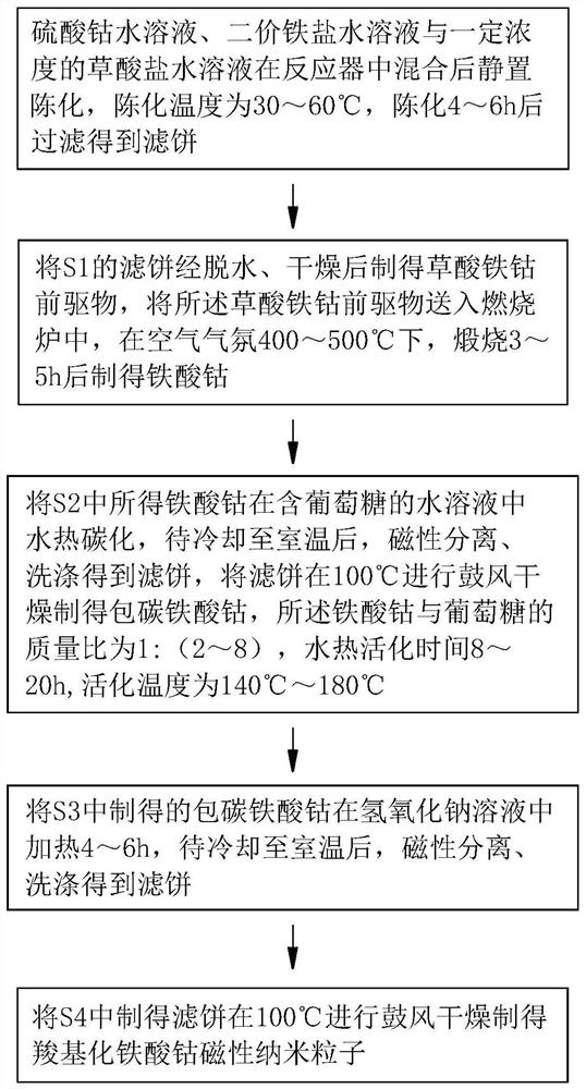 a cofe  <sub>2</sub> o  <sub>4</sub> Preparation method of nanoparticles