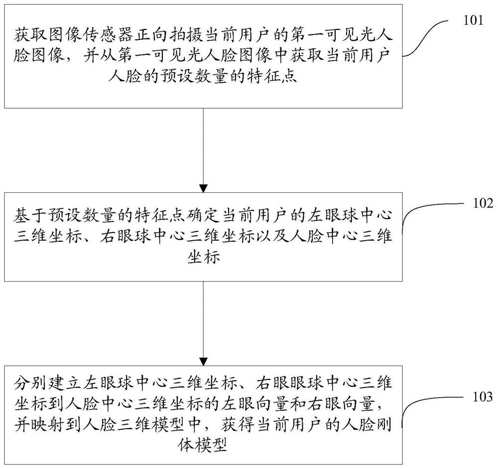 Face rigid body model and fixation point detection method and device and storage medium