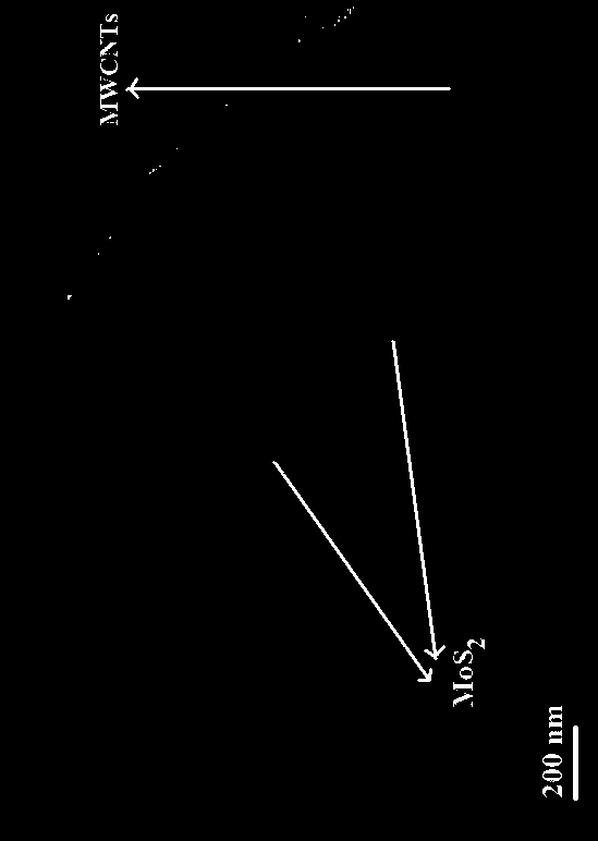 Supercapacitor electrode material molybdenum sulfide-multiwalled carbon nanotube and preparation method thereof