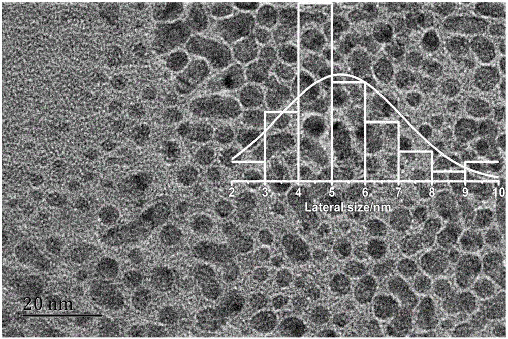 Nitrogen-doped graphene quantum dot and preparation method thereof