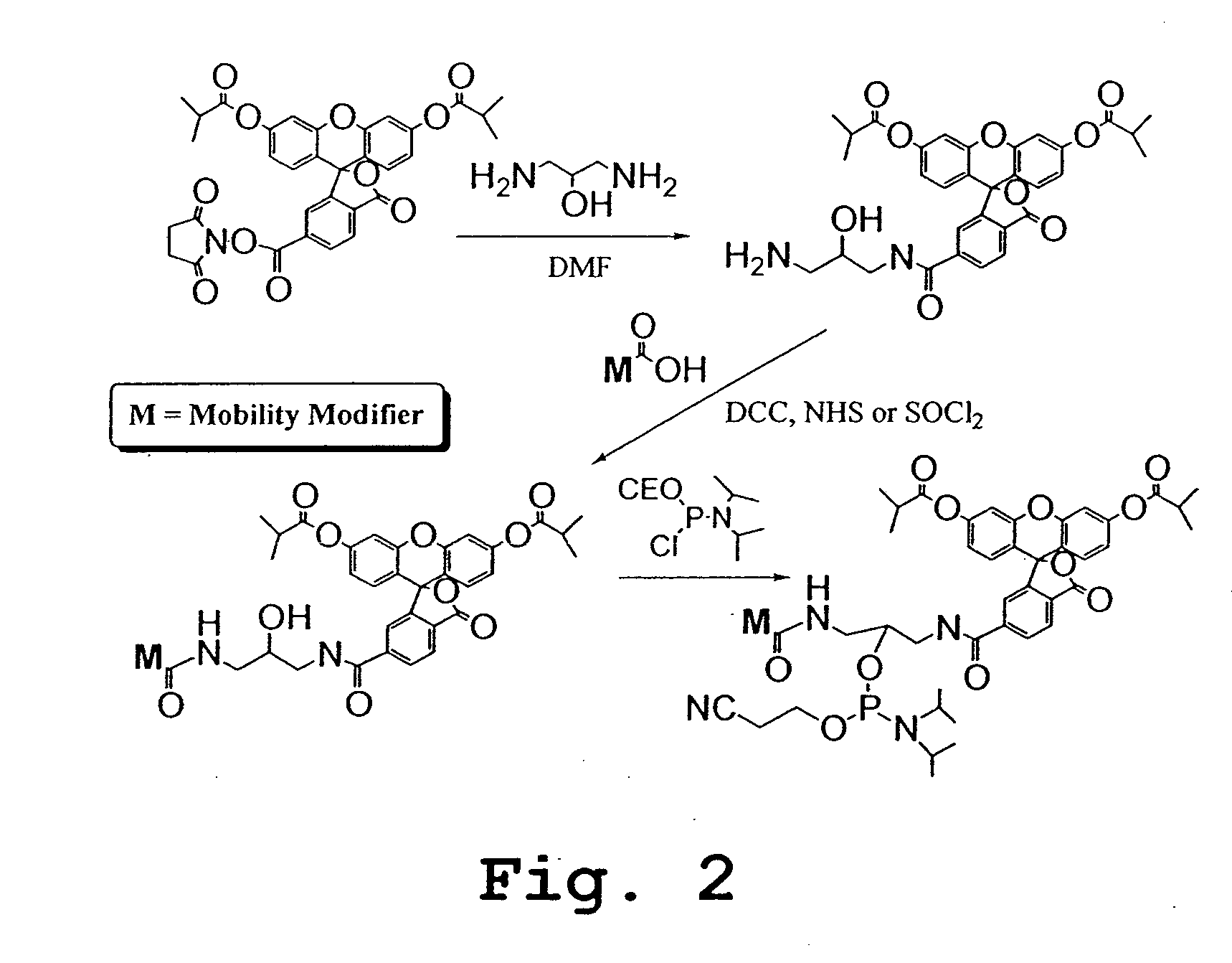 Multiplexed analysis by chromatographic separation of molecular tags