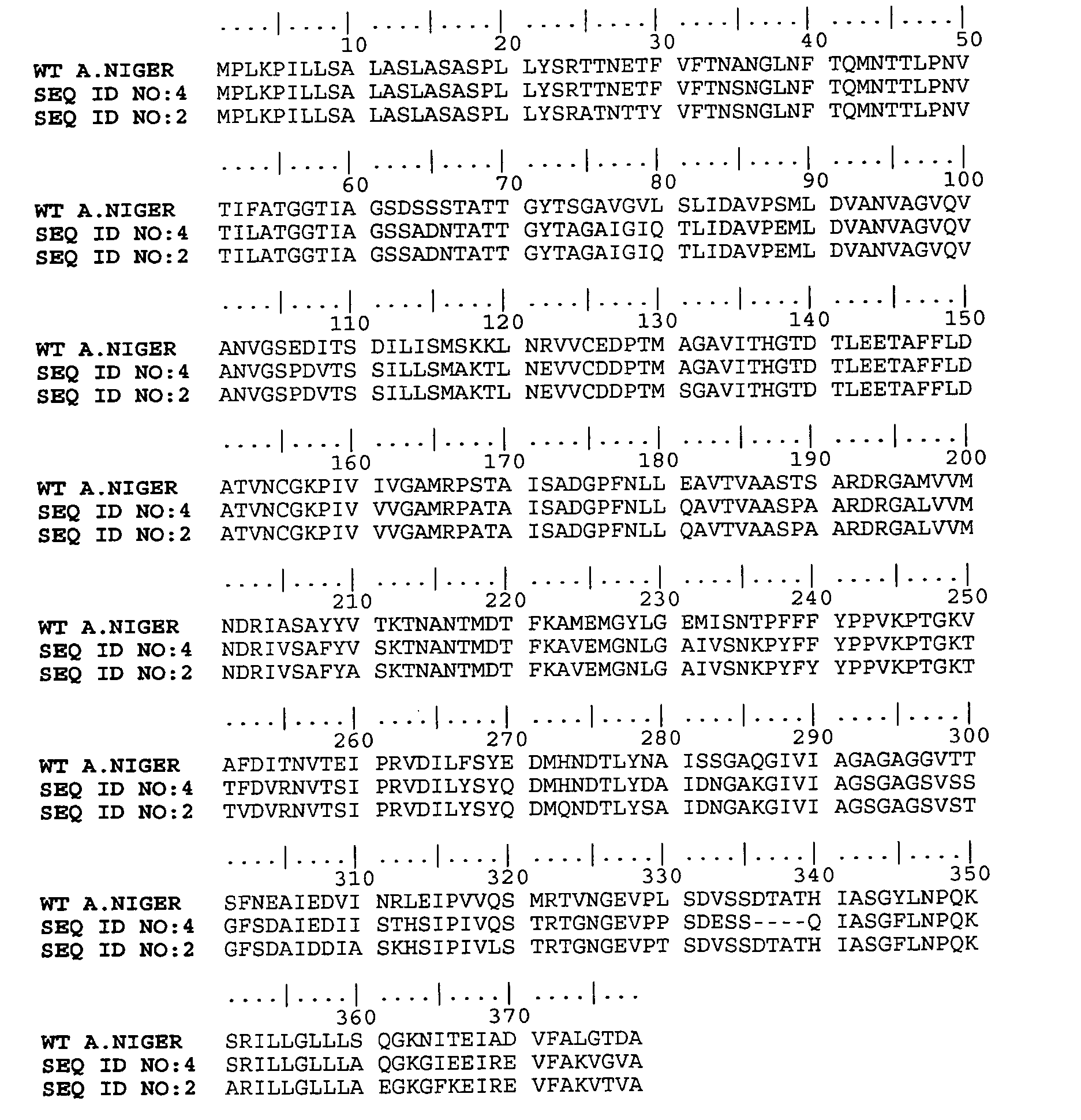 Asparaginases and uses thereof