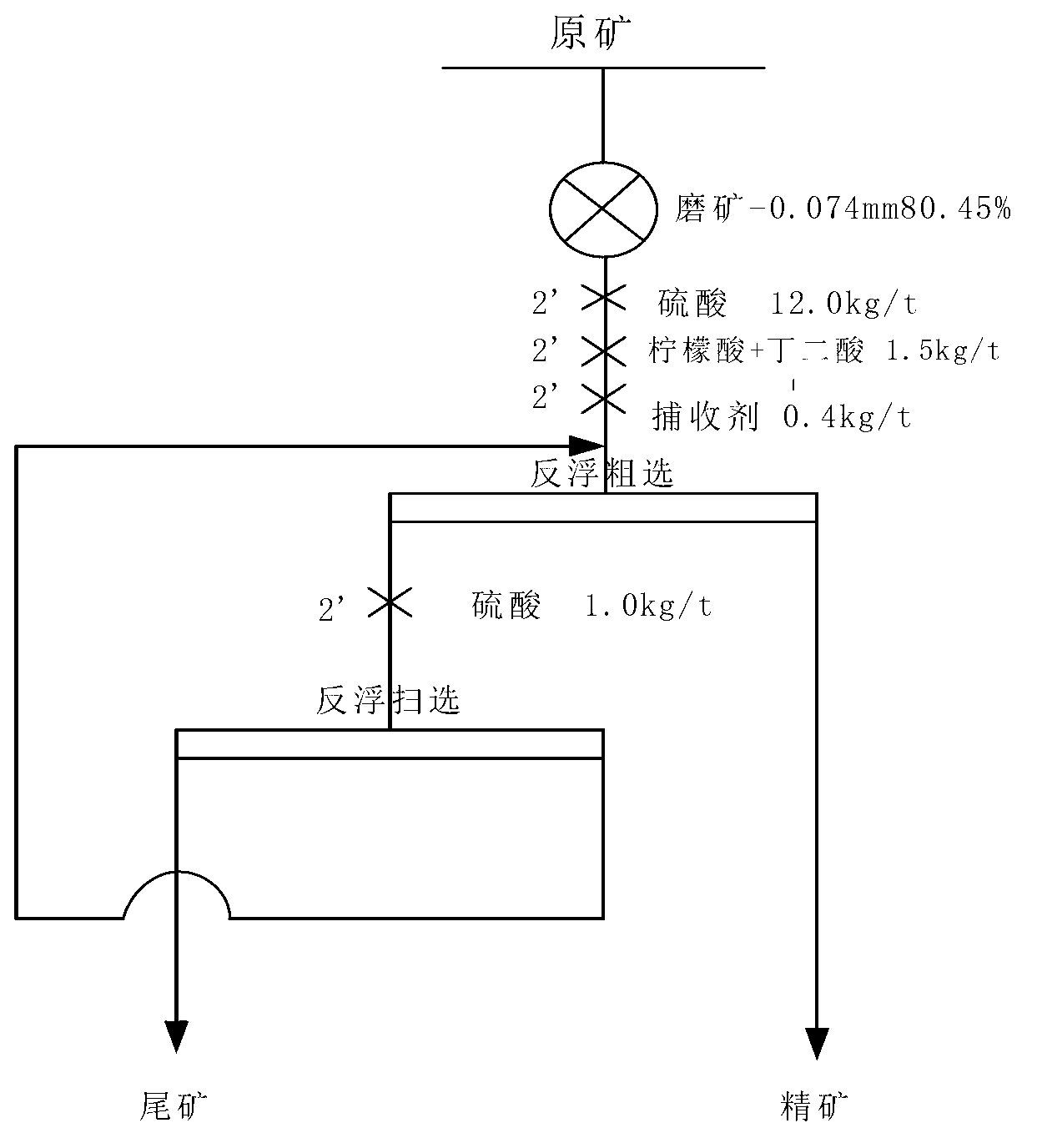 Phosphorite reverse flotation process