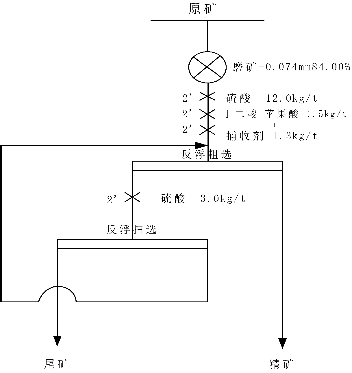 Phosphorite reverse flotation process