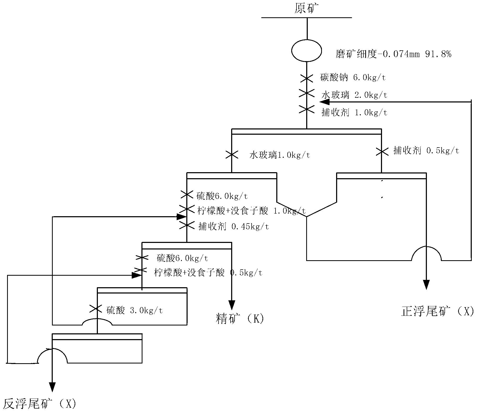 Phosphorite reverse flotation process