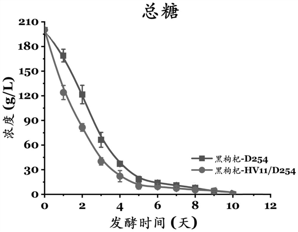 Lycium ruthenicum wine, preparation method thereof and compound wine